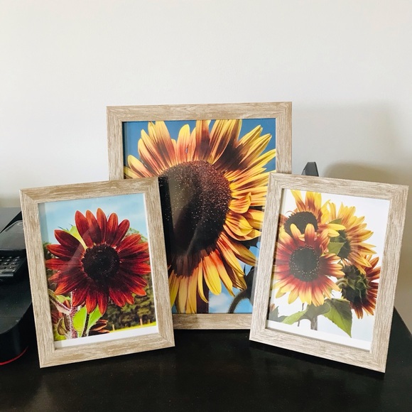 Meet your Posher, Stacy - Picture 8 of 16